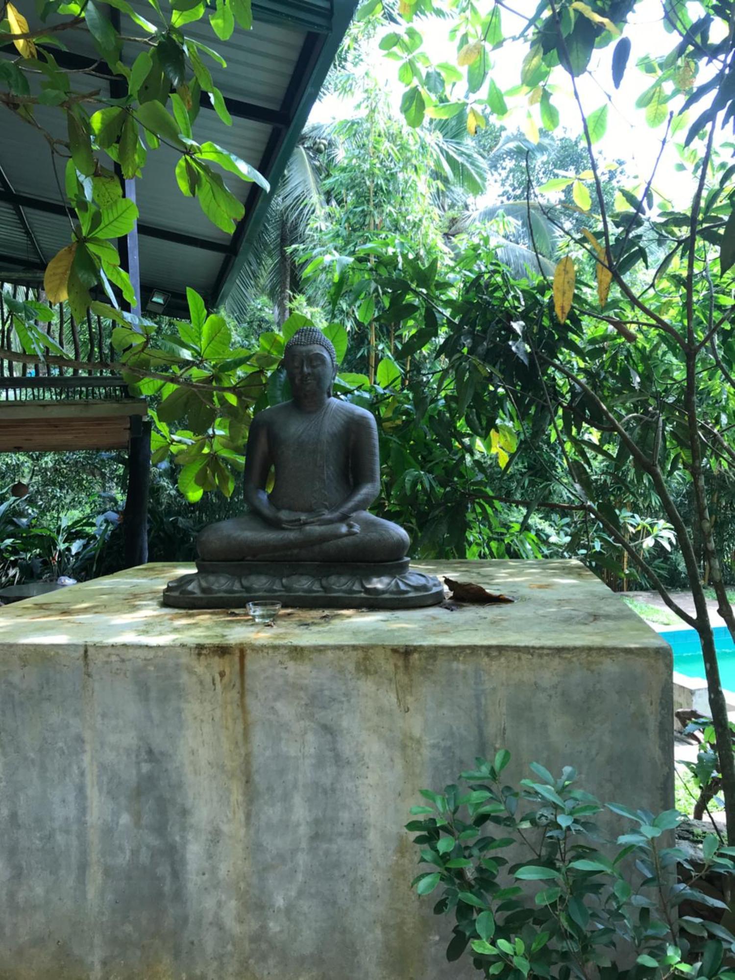 Explore Sinharaja Rain Forest Tour Camp Dombagoda 外观 照片