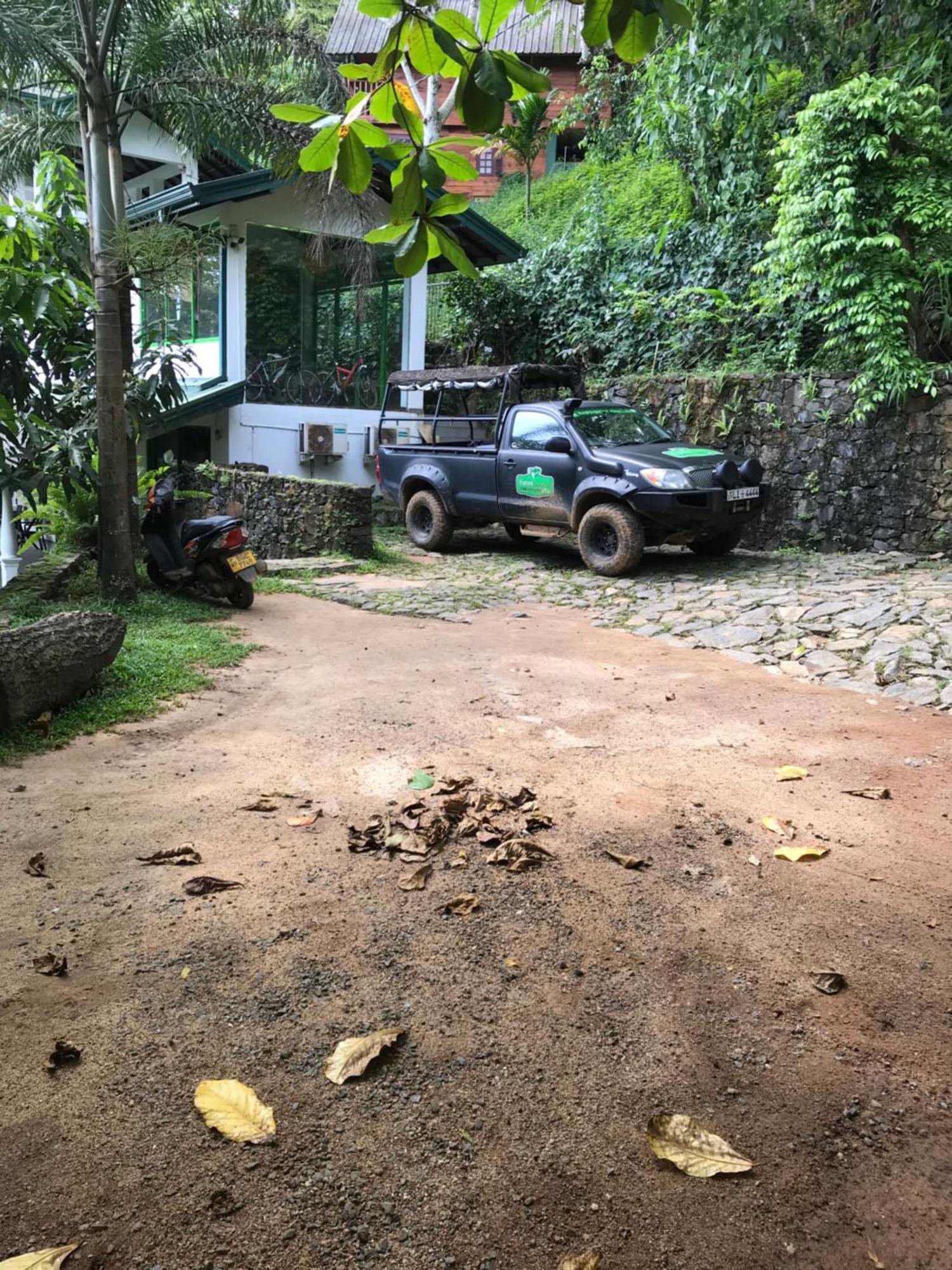 Explore Sinharaja Rain Forest Tour Camp Dombagoda 外观 照片