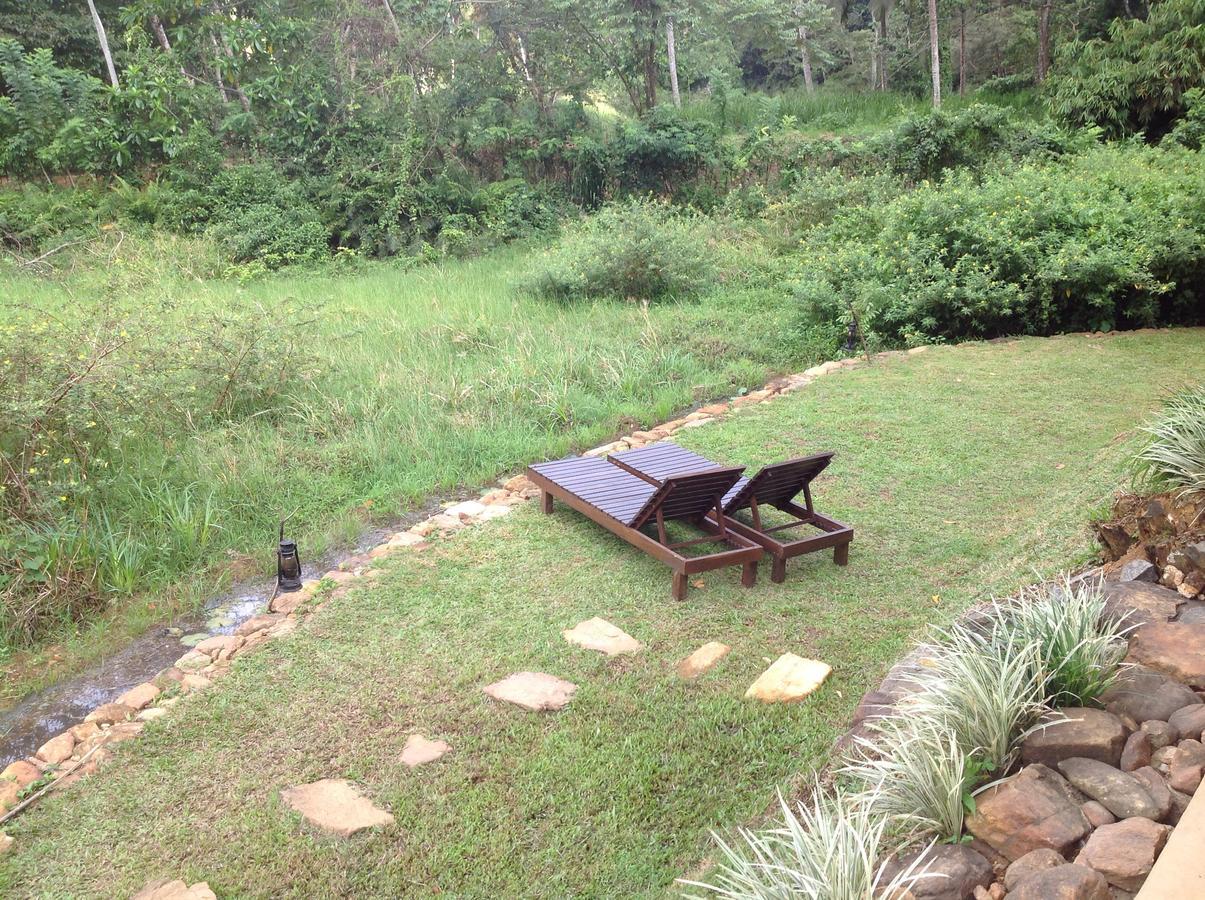 Explore Sinharaja Rain Forest Tour Camp Dombagoda 外观 照片