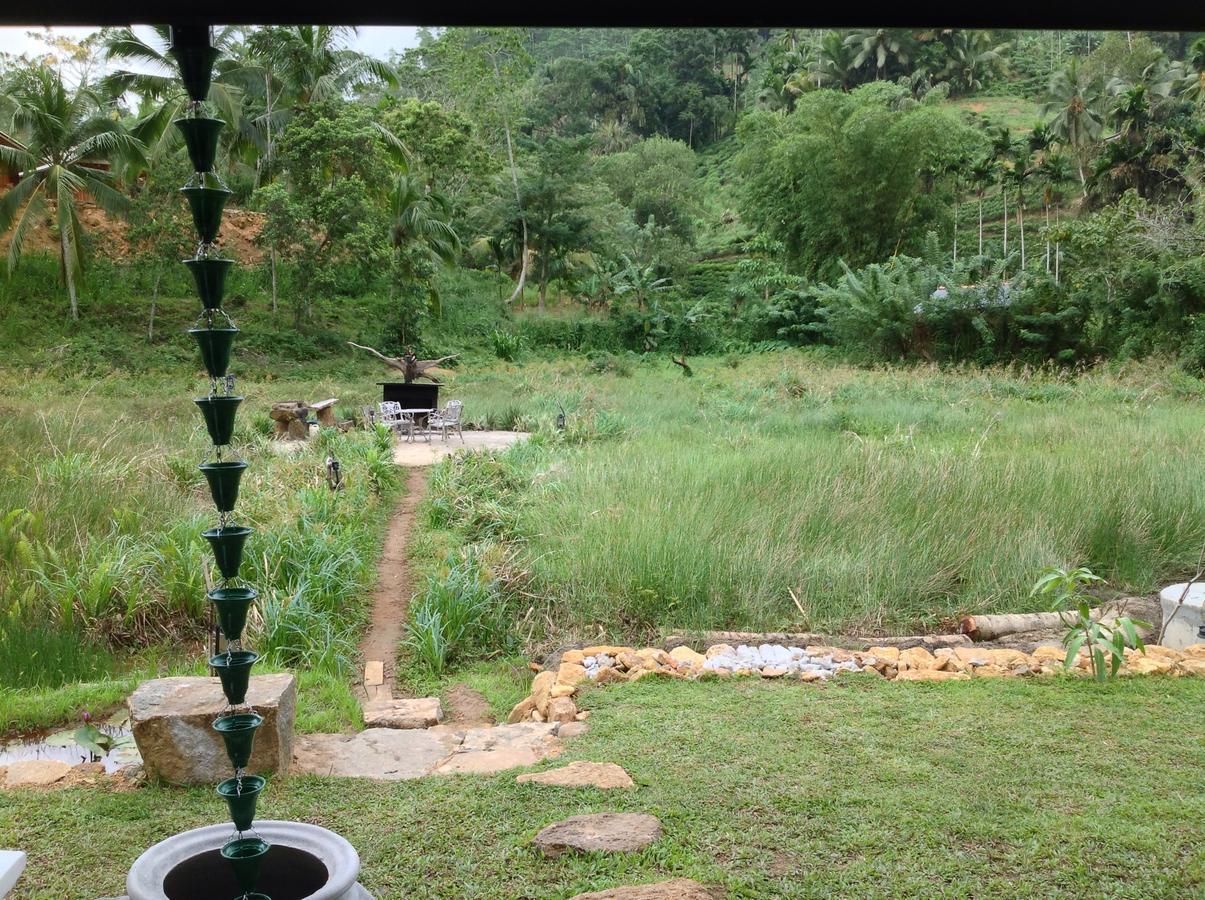 Explore Sinharaja Rain Forest Tour Camp Dombagoda 外观 照片