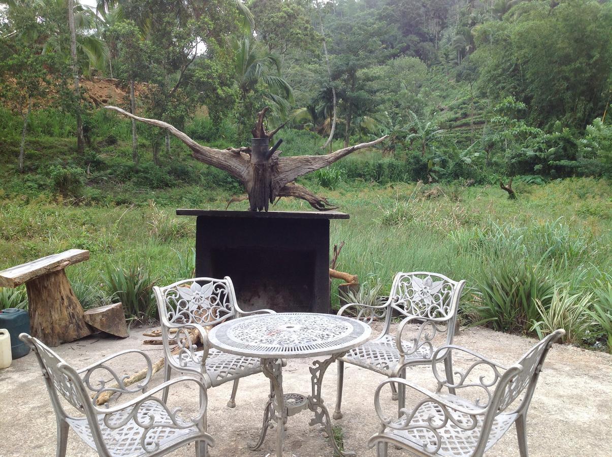 Explore Sinharaja Rain Forest Tour Camp Dombagoda 外观 照片