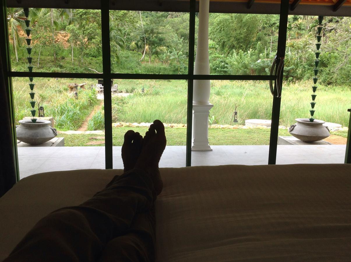 Explore Sinharaja Rain Forest Tour Camp Dombagoda 外观 照片