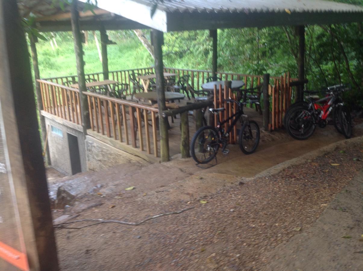 Explore Sinharaja Rain Forest Tour Camp Dombagoda 外观 照片