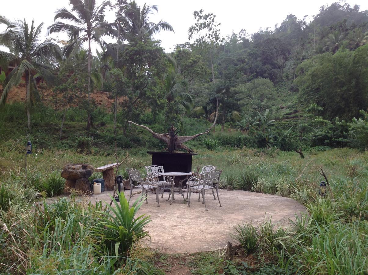 Explore Sinharaja Rain Forest Tour Camp Dombagoda 外观 照片