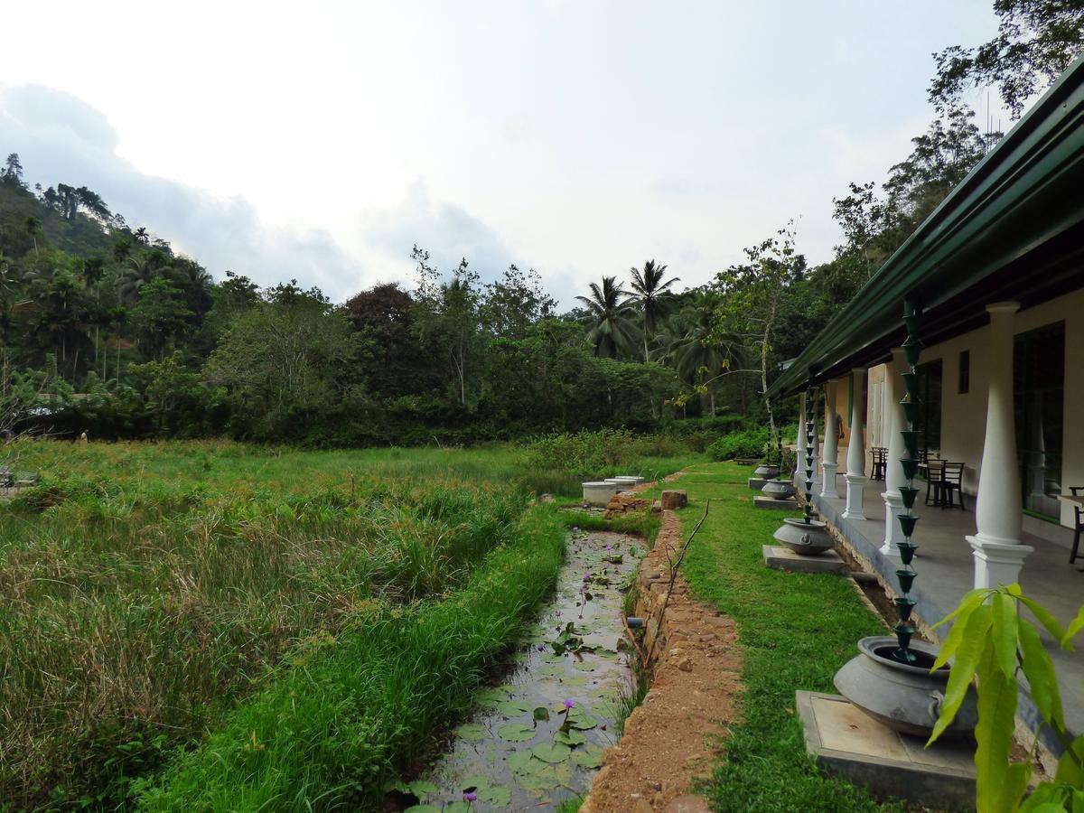 Explore Sinharaja Rain Forest Tour Camp Dombagoda 外观 照片
