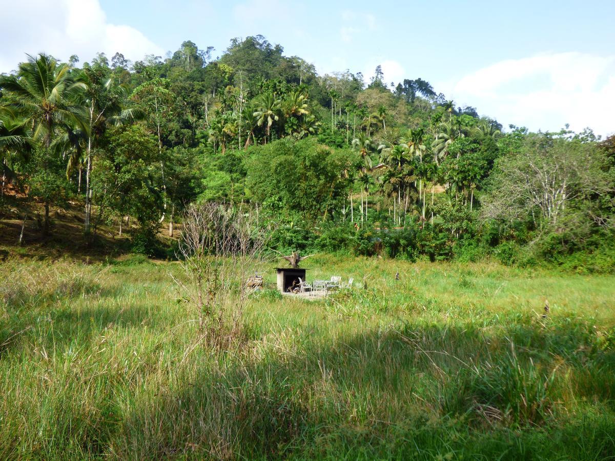 Explore Sinharaja Rain Forest Tour Camp Dombagoda 外观 照片
