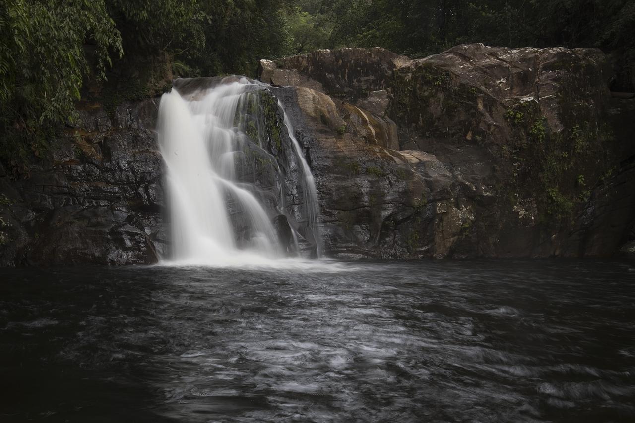 Explore Sinharaja Rain Forest Tour Camp Dombagoda 外观 照片