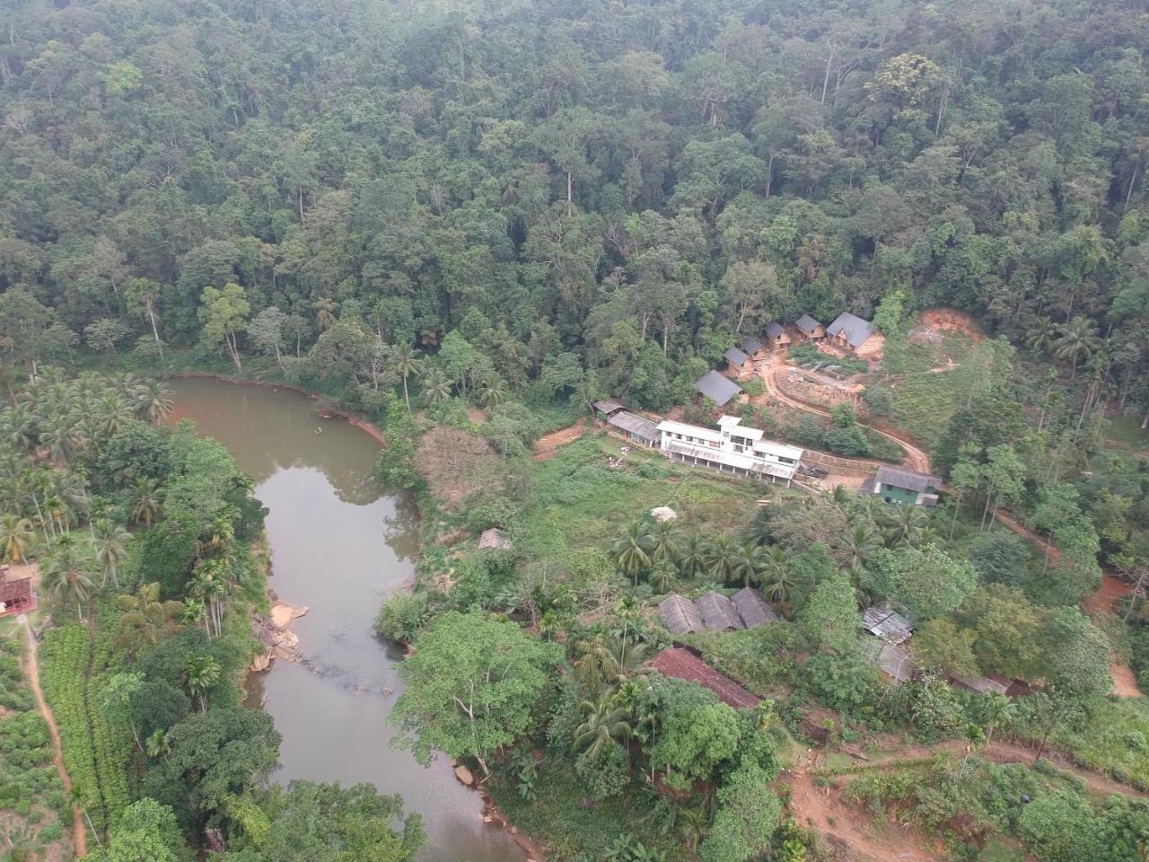 Explore Sinharaja Rain Forest Tour Camp Dombagoda 外观 照片