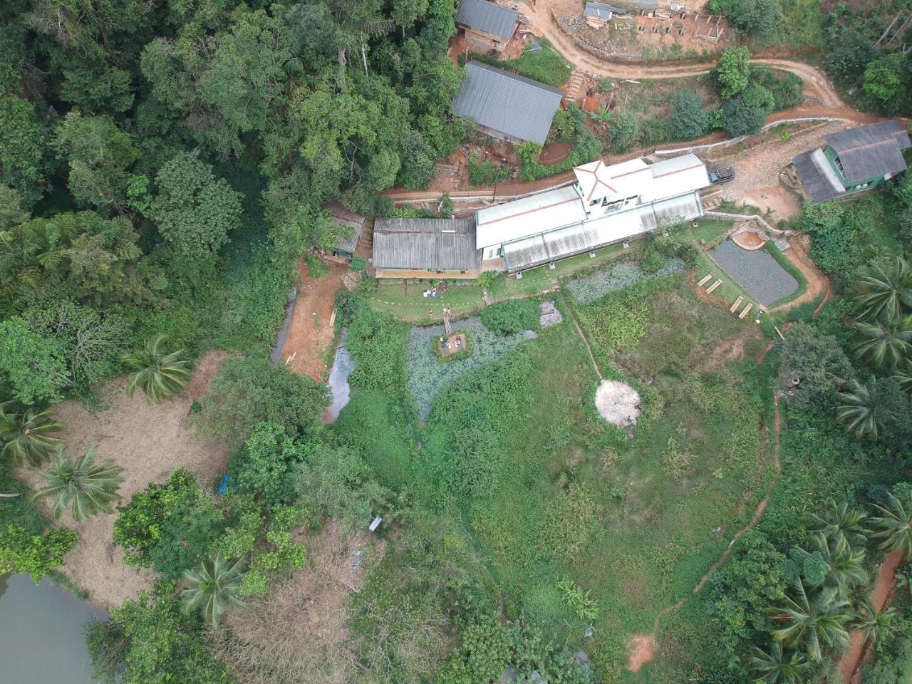 Explore Sinharaja Rain Forest Tour Camp Dombagoda 外观 照片