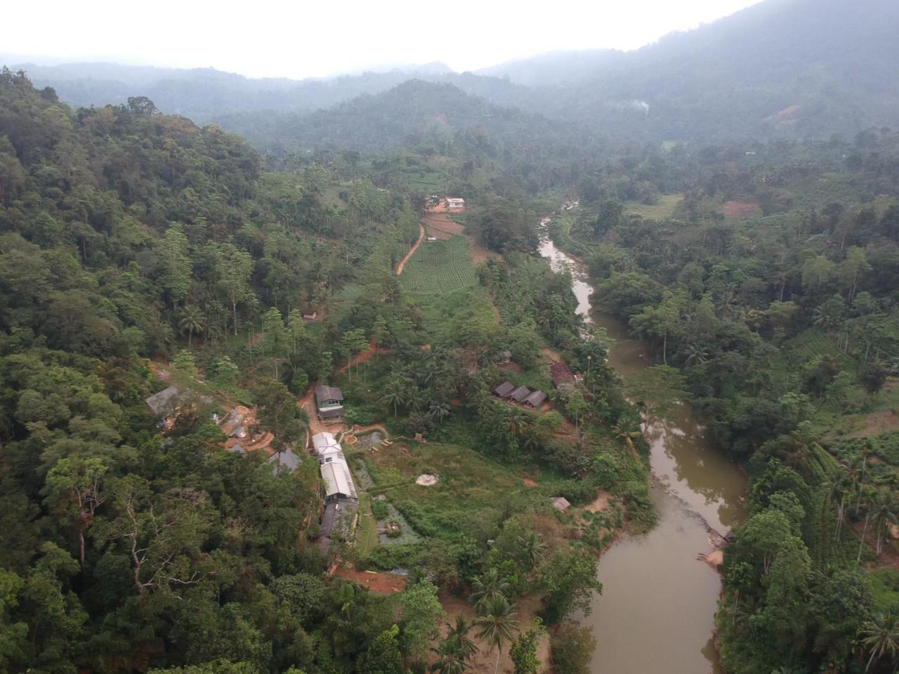 Explore Sinharaja Rain Forest Tour Camp Dombagoda 外观 照片